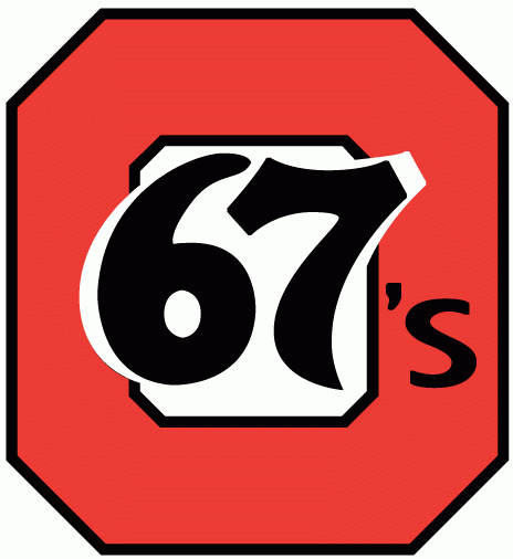 Ottawa 67s 1979-1987 alternate logo iron on heat transfer